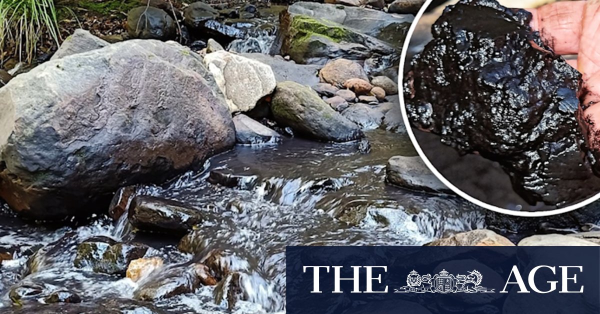 Royal National Park creek runs black after coal mine pollution incident - Vimarsana News
