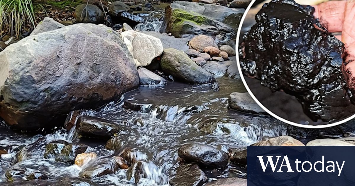 Royal National Park creek runs black after coal mine pollution incident - Vimarsana News