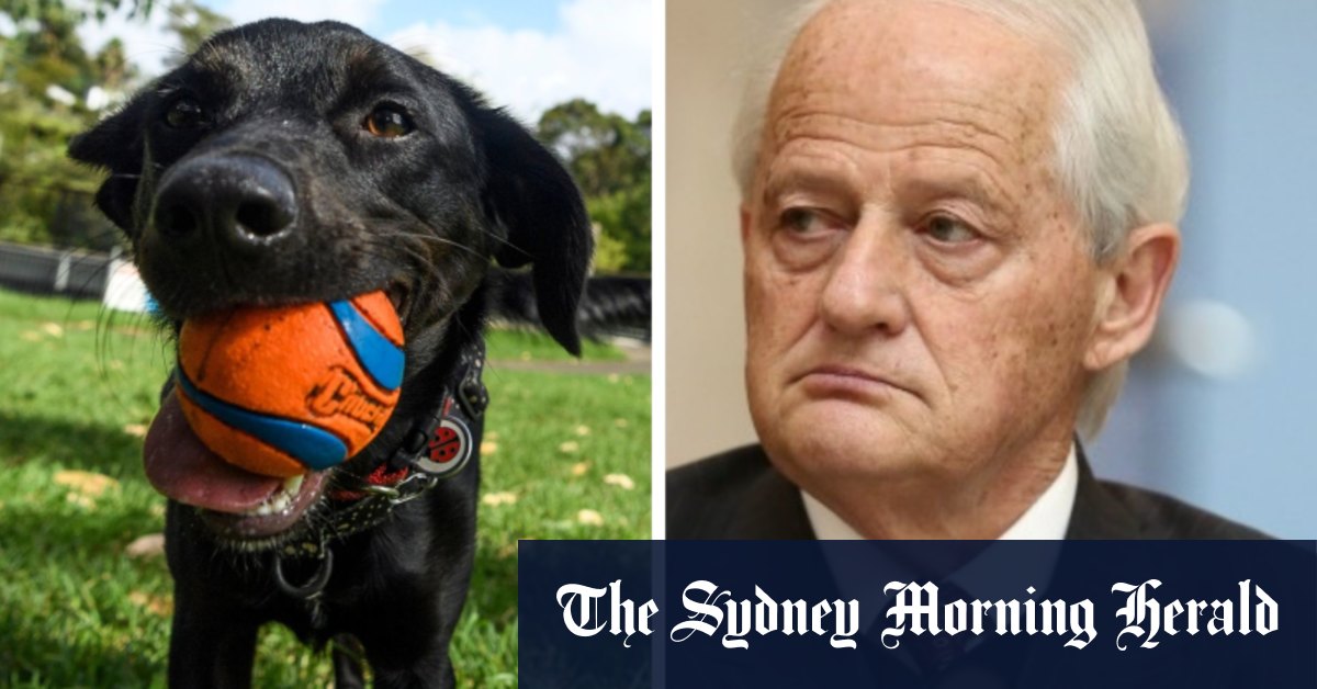 'Back on your leash': Philip Ruddock apologises to woman for 'misogynistic remark' - Vimarsana News
