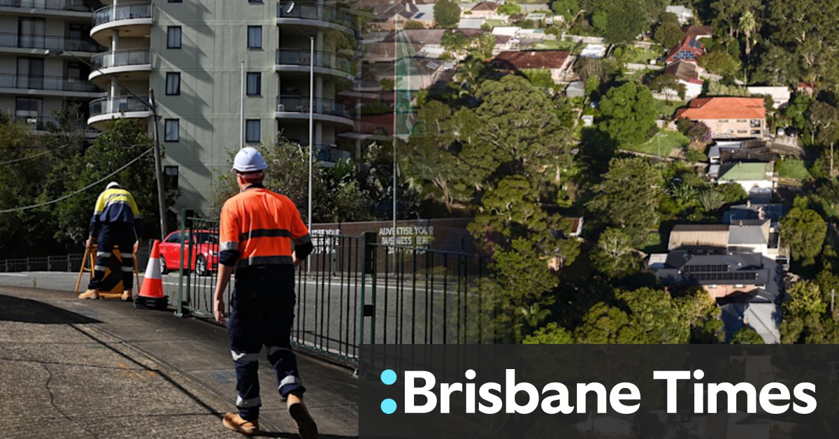 Sydney urban forest cover drops across some councils since 2013 - Vimarsana News