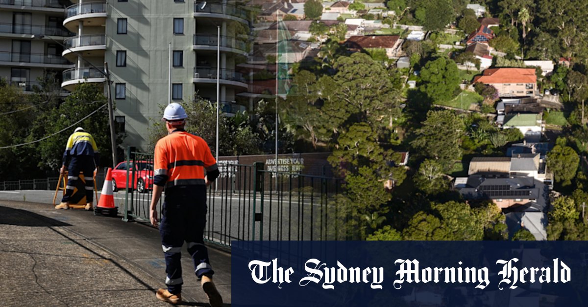 Sydney urban forest cover drops across some councils since 2013 - Vimarsana News