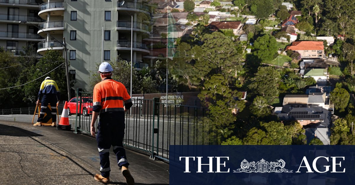 Sydney urban forest cover drops across some councils since 2013 - Vimarsana News