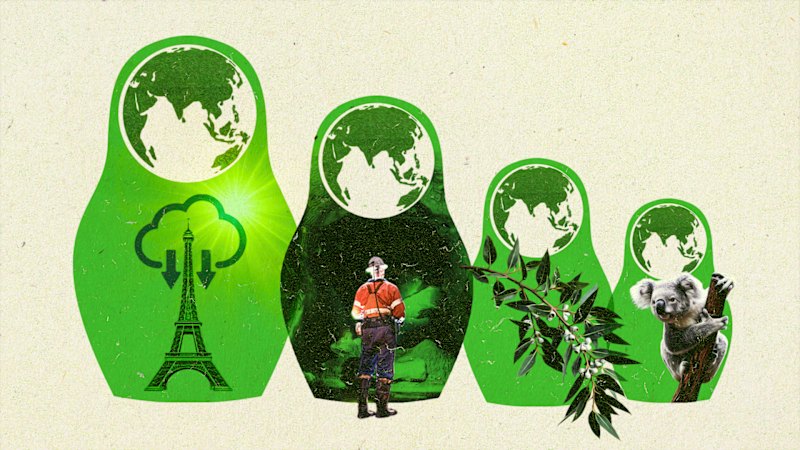 Environmental groups split as Australian government carbon policy debate intensifies