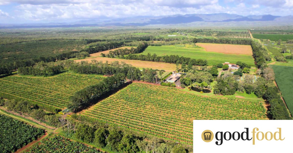 the flavours of Tropical North Queensland