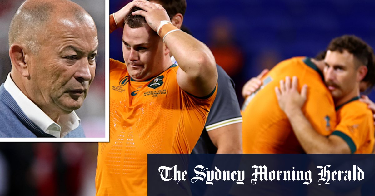Wallabies will bounce back, like all good teams do - Vimarsana News