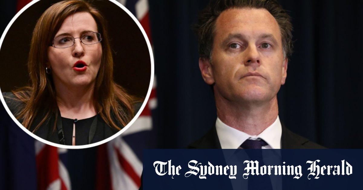 Labor leader Chris Minns unapologetic over decision to sack frontbencher Tania Mihailuk - Vimarsana News