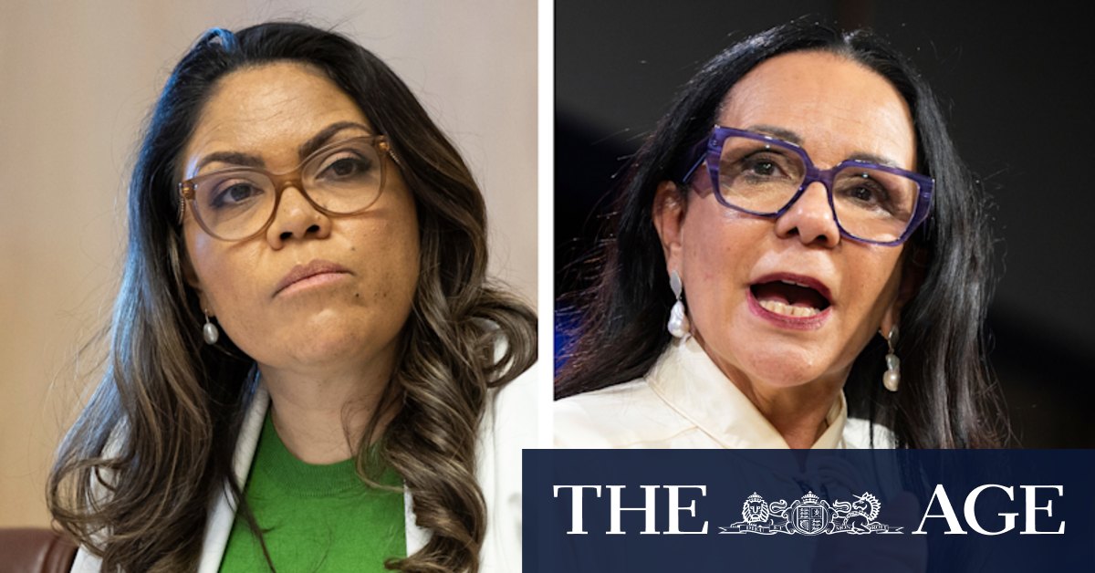 'Bully-boy tactics': Labor and the Coalition trade barbs in Voice debate - Vimarsana News