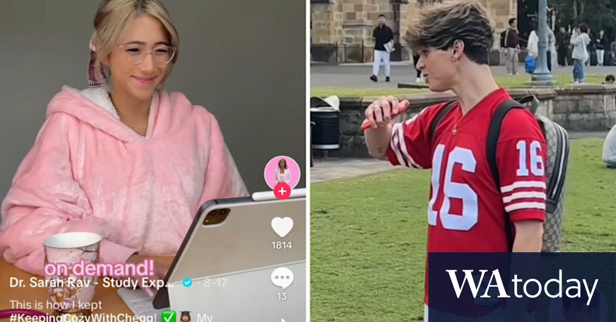 Chegg linked to contract cheating; TikTok influencers enlisted - Vimarsana News