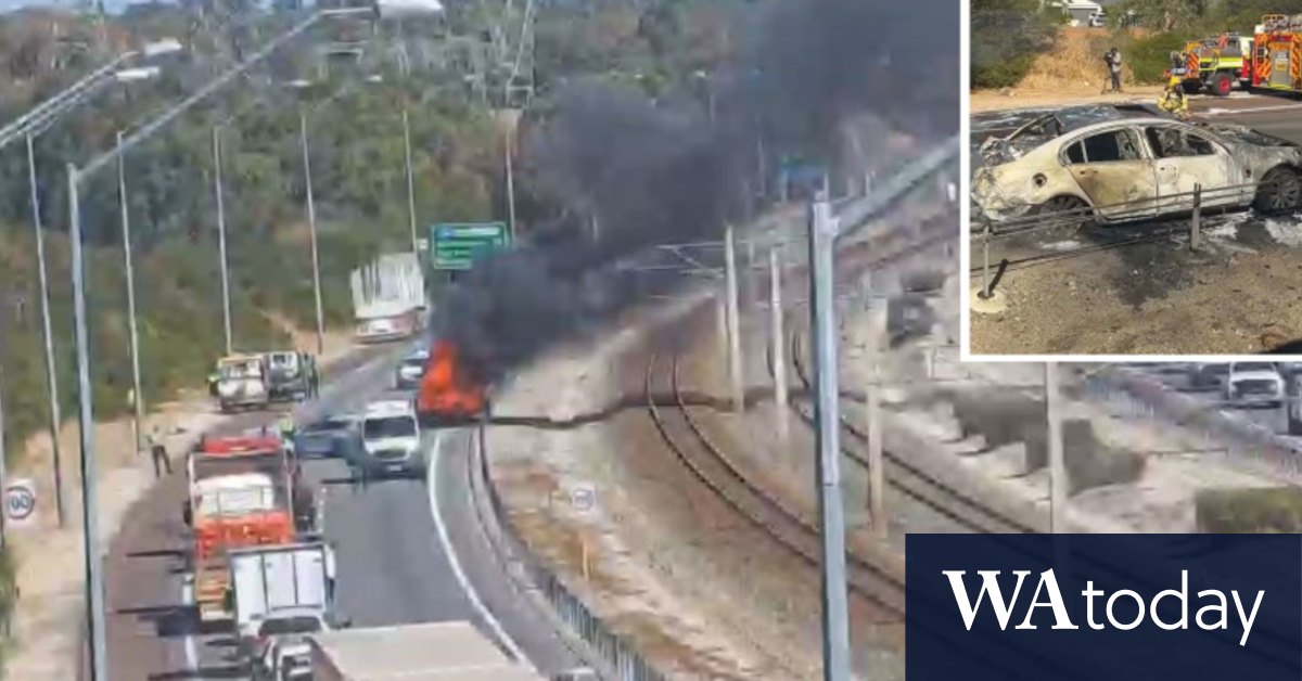 Perth traffic Rogue sheep falling off truck causes fiery Kwinana Freeway crash