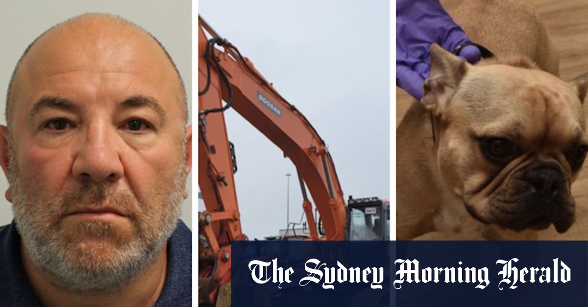 Cute dog picture, selfies help convict multi-million dollar British-Australian drug smuggling ring - Vimarsana News