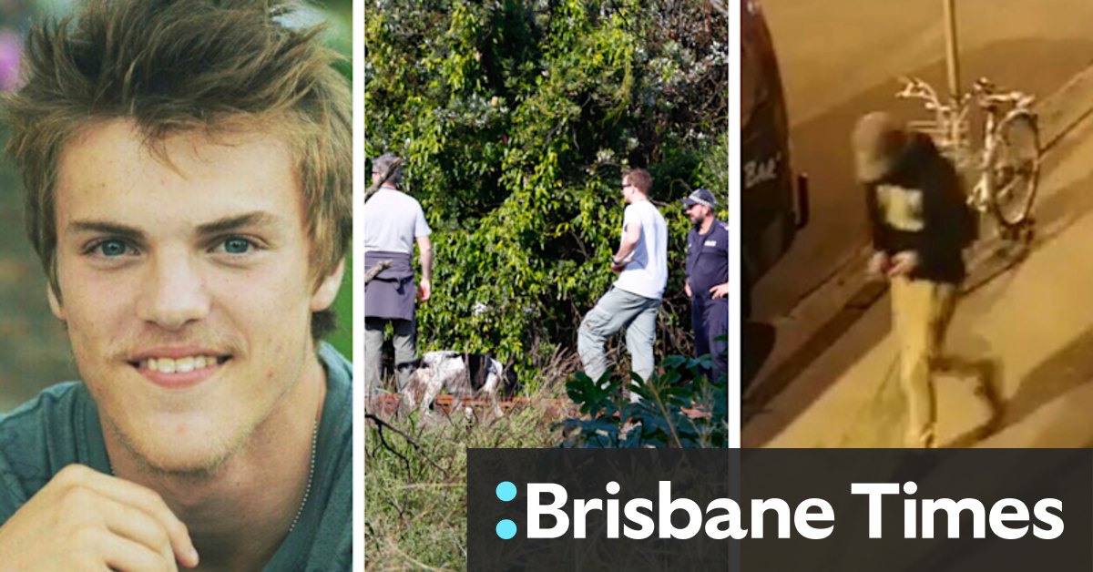 Theo Hayez disappearance: $500,000 reward offered for missing backpacker information - Vimarsana News