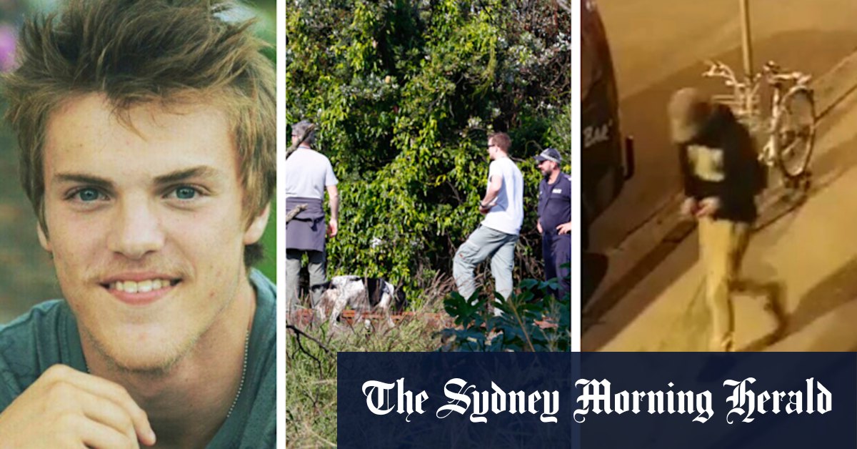 Theo Hayez disappearance: $500,000 reward offered for missing backpacker information - Vimarsana News