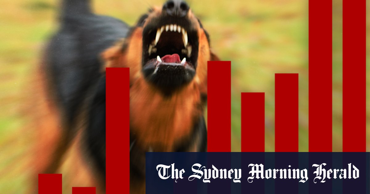 Dog attacks Perth: Attacks on the rise in the suburbs - Vimarsana News