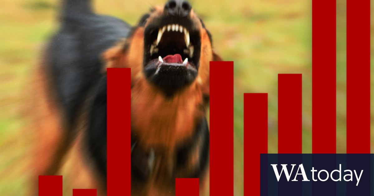 Dog attacks Perth Attacks on the rise in the suburbs