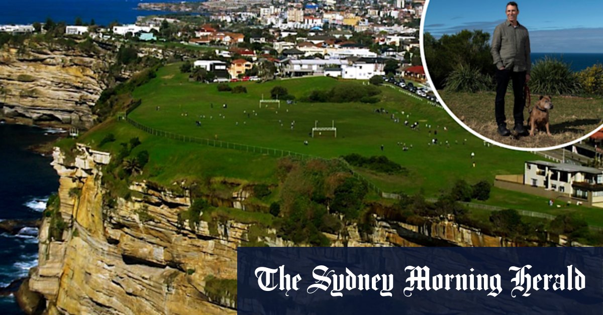 Waverley council votes to allow neighbours to cut trees blocking water views - Vimarsana News