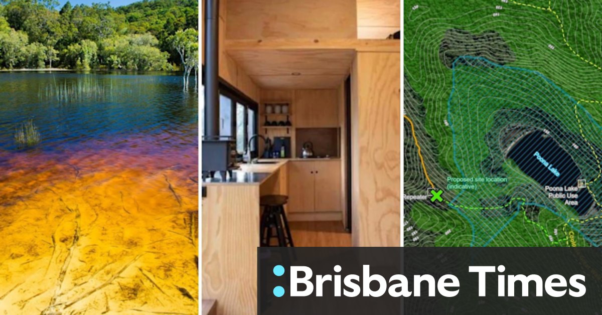 New leaf: Plans for private cabins near rare Qld ferns scrapped - Vimarsana News