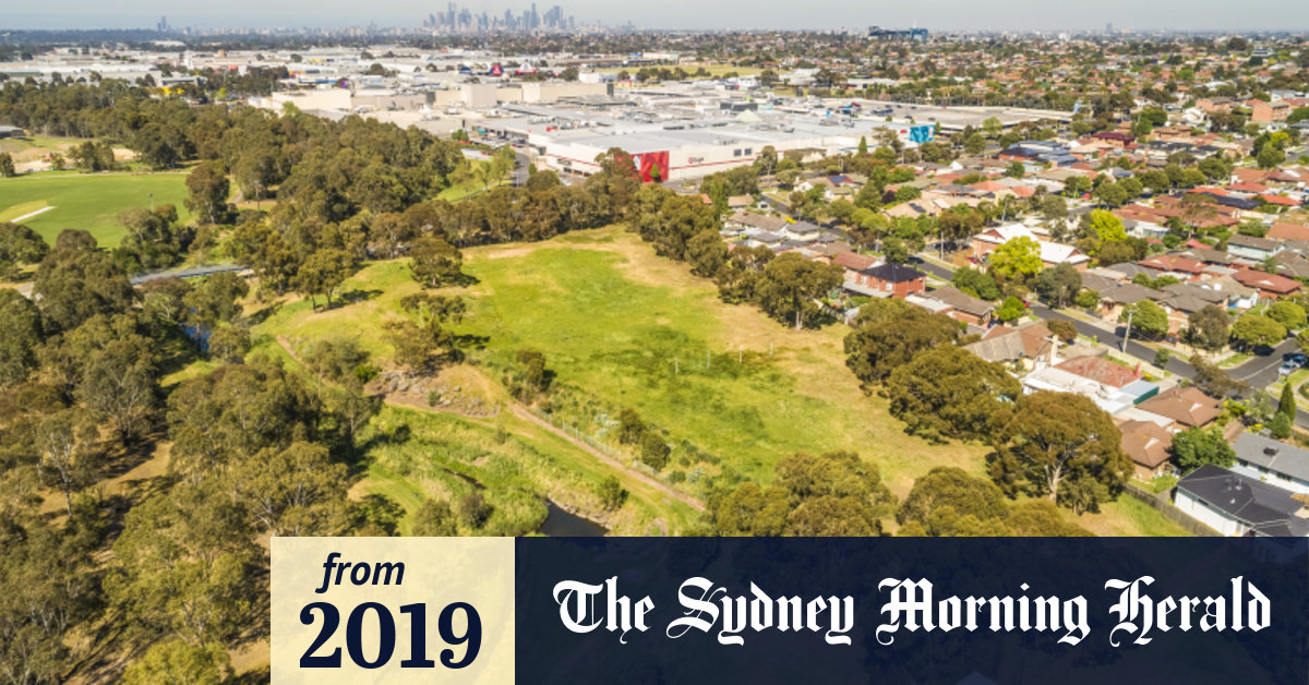 Steller crash rumbles through the suburbs