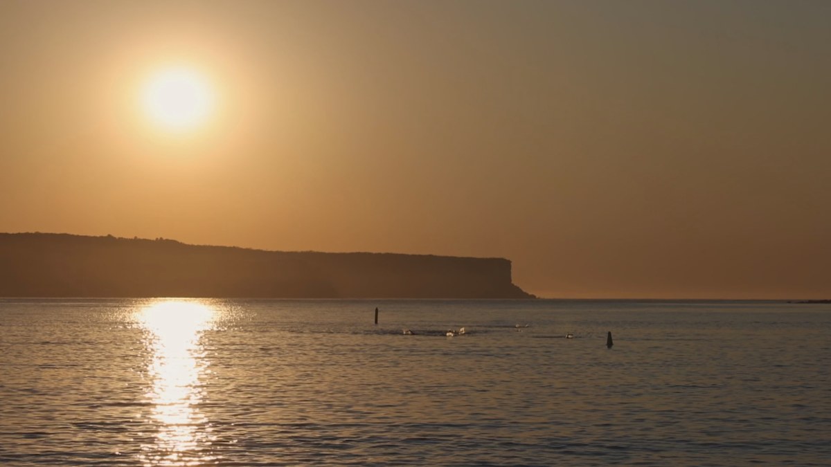 35 Degrees and Total Fire Ban Hit Sydney and Hunter Regions