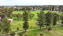 Hands off our trees and our heritage. That’s the blunt message from a community, hell-bent on saving some historic Norfolk Pines.