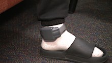 Harry has been wearing this electronic monitoring device for seven months.