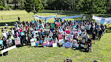 Hundreds have petitioned to protect Brisbane’s Woogaroo Forest.