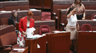 Lidia Thorpe is suspended from Parliament after appearing to throw papers at Pauline Hanson and giving the middle finger as she leaves the chamber.