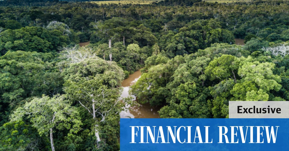 AVZ Minerals hides dispute over title to Manono lithium project as it battles Congo's Cominiere and Dathomir Mining and China's Zijin Mining - Vimarsana News
