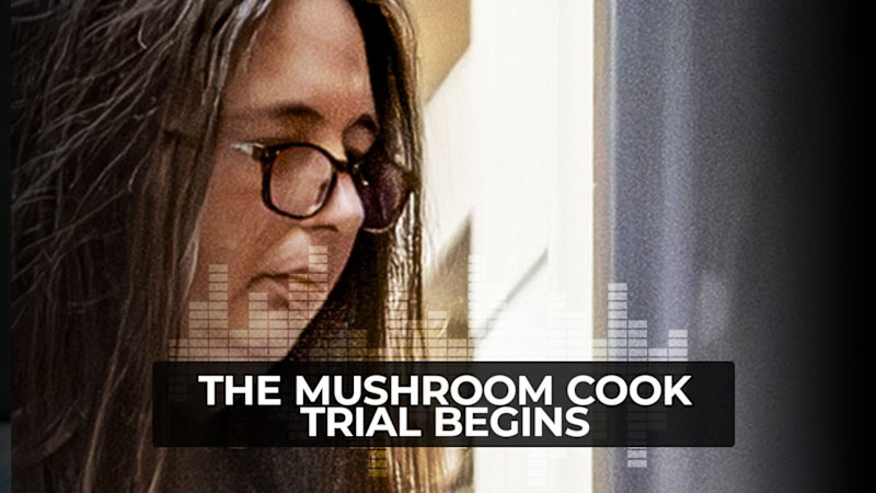 Listen: Crime reporter Erin Pearson talks about key moments in the Erin Patterson mushroom lunch trial