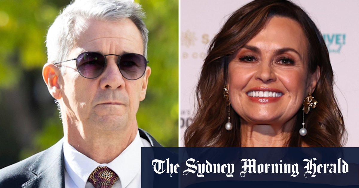 Lehrmann DPP targets media in grilling by Lisa Wilkinson’s lawyer
