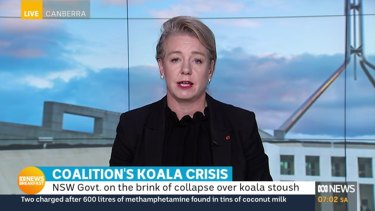 Nationals senator Bridget McKenzie.