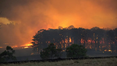Pictures from one of the fire grounds in East Gippsland, provided by a local CFA crewman, close to Mt Taylor.