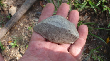 A stone flint found at Victoria Park.