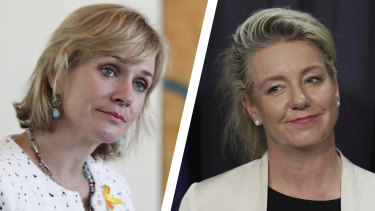 Zali Steggall says the politicisation of a $100 million community sports grant program overseen by Bridget McKenzie is "disgusting".