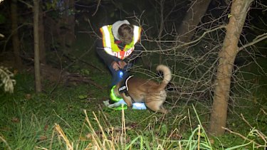 A policeman with a tracker dog search for the missing man in a case that involved âcannibalismâ.