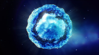 Mesoblast Limited Asx Msb Ann Trading Halt Page 4 Hotcopper Asx Share Prices Stock Market Share Trading Forum