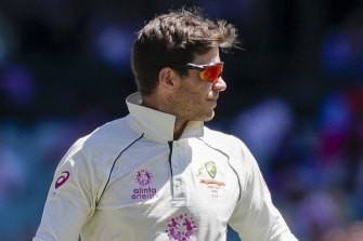 Tim Paine is taking indefinite leave from cricket.