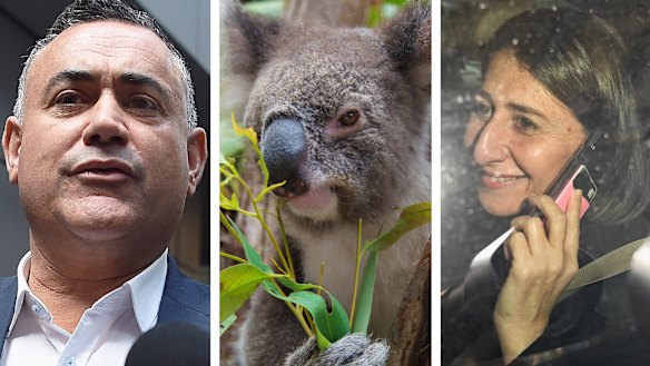 The National's attempts to roll back new koala regulations didn't follow the Sun Tzu rule book.