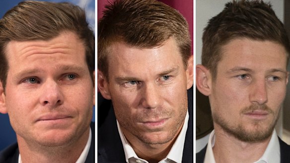 On the sidelines: Banned Australian cricketers Steve Smith, David Warner and Cameron Bancroft.