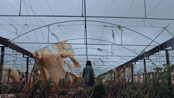 Alison Chhorn's The Plastic House.