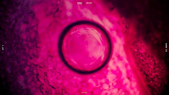 A 'scene' from Huei Yin Wong's Romeo and Juliet