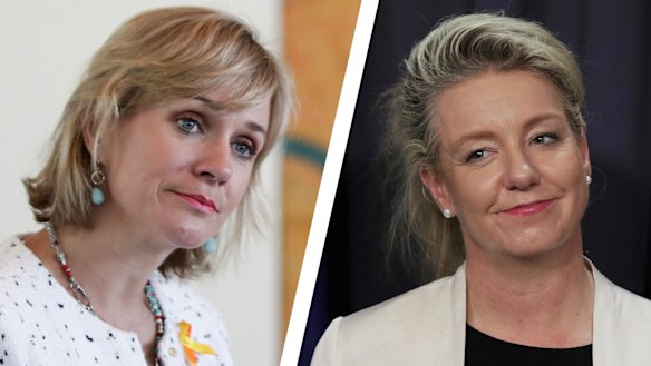 Zali Steggall says the politicisation of a $100 million community sports grant program overseen by Bridget McKenzie is "disgusting".