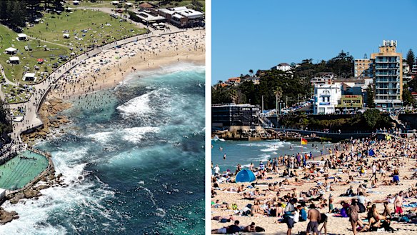 Bronte Beach and Coogee Beach have been rated poor, meaning both are susceptible to “faecal pollution”.