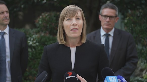 NSW Transport Minister Jo Haylen addresses media on Tuesday.