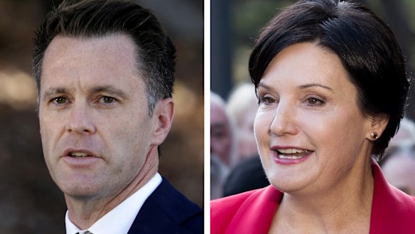 Vying for NSW Labor leadership: Chris Minns and Jodi McKay.