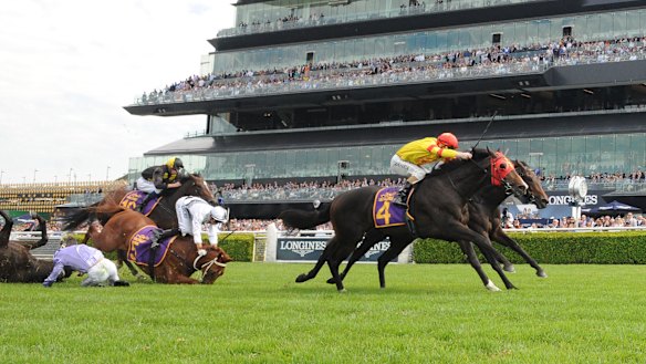 Backing up: David Payne will start both Persan and War Baron in the Champagne Stakes despite falls in last week's Fernhill Handicap.