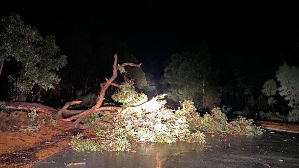 Winds brought trees down in Wundowie. 