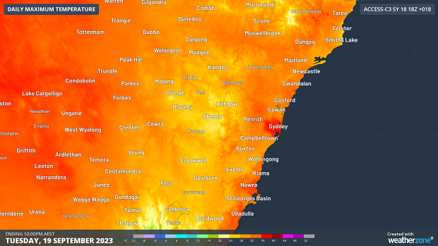 Карта, показывающая прогнозируемые максимальные температуры на вторник в центральной части Нового Южного Уэльса и верхней части АКТ, согласно модели ACCESS-C.