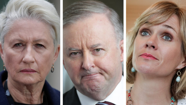 Can Labor under Anthony Albanese forge alliances with indepdendents like Kerryn Phelps and Zali Steggall.