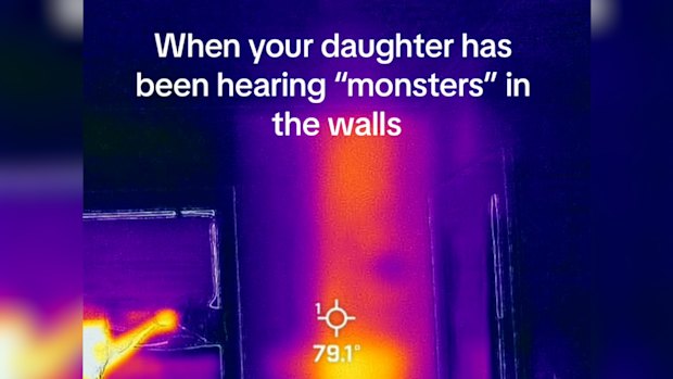 A three-year-old complained there was a monster in her wall. It turned out to be a beehive.