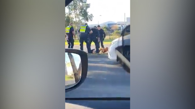 The arrest in Epping on Sunday afternoon has been referred Victoria Police Professional Standards Command for oversight.